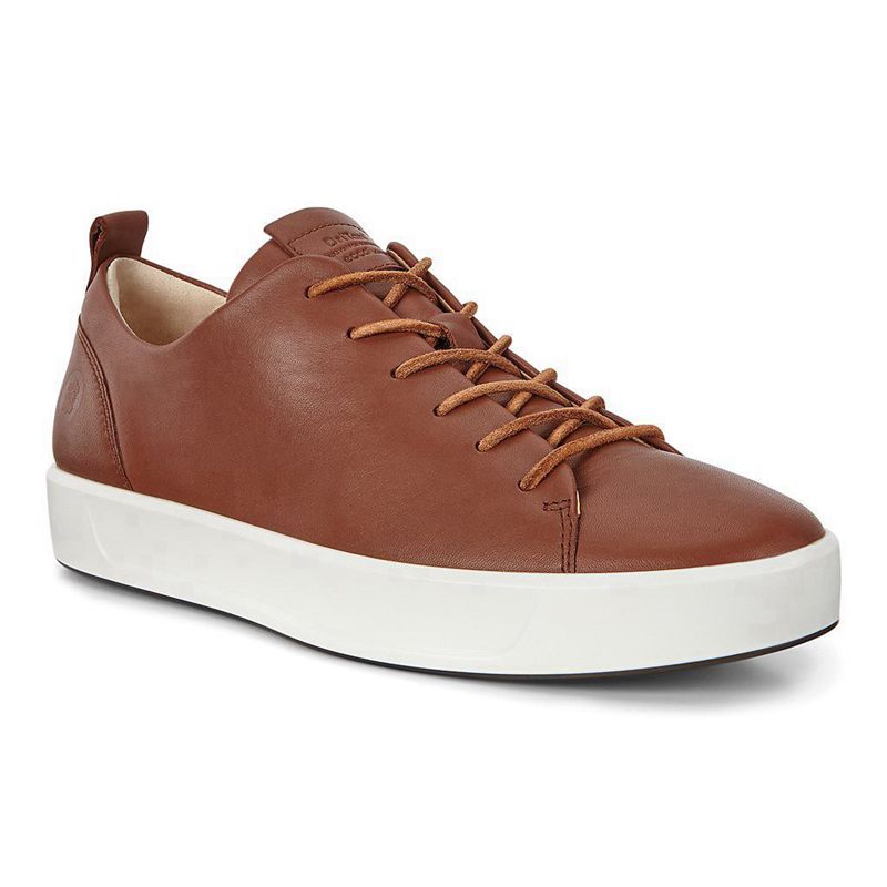 Men Casual Ecco Soft 8 M - Sneakers Brown - India TMRYQG751